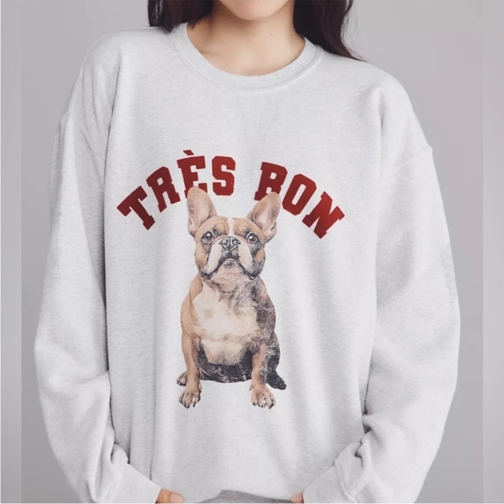 Anthropologie Light Gray Sweater with Red and Brown Design